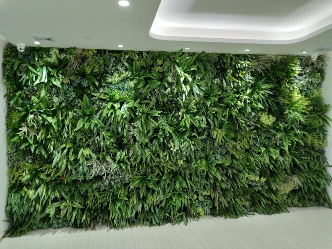 人工的な緑の壁