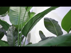 旋回セクションのビデオ