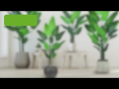 偽の旅人のナツメヤシ (パラダイスナツメヤシの鳥) - 180cm/200cm 現実的なPE葉 人工 Pl