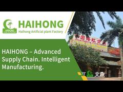 中国のHAIHONG人工植物工場