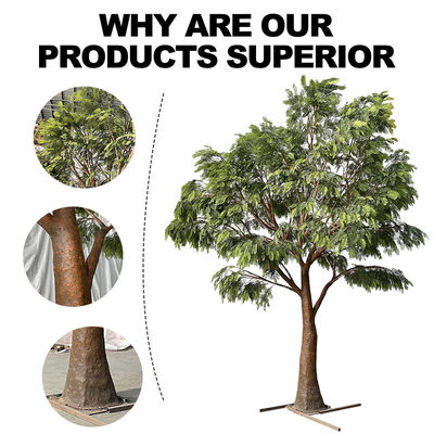 Anti UV Artificial Babul Trees For Outdoor Landscape Evergreen 5.5 Meters Fiber Glass