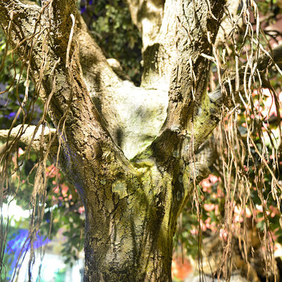 2m Artificial Landscape Trees Large Ficus C Style Custom Height Exibition Hall Foliage Tree