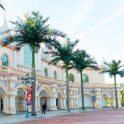 4m Artificial Landscape Trees Coconut Palm Tree Outdoor Decoration