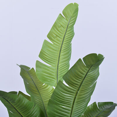 Artificial Travelers Palm with Realistic  Leaf Edges 160cm 180cm | Lifelike Faux Bird of Paradise Plant for Decor