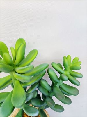 OEM Green Artificial Succulent Plant Lovely Office Desk Decoration