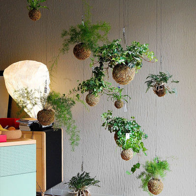 Anti Aging Artificial Potted Plants Green Leaf Bar Music Restaurant Hanging Window Ceiling
