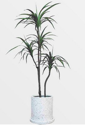 Plastic Artificial Potted Floor Plants Indoor Evergreen Dragon Blood Trees