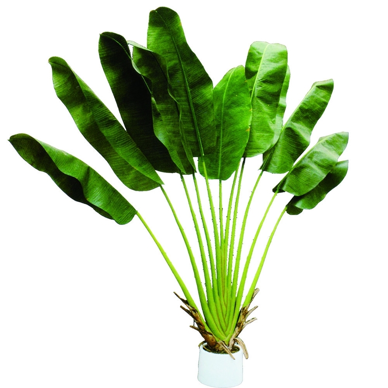 2mのグラス ファイバーの人工的な鉢植えな植物の屋内常緑の装飾的なバナナの木