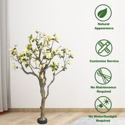 Customized Large Plastic Artificial Magnolia Tree 600cm Height