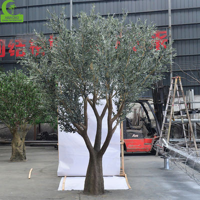 Customized Large Olive Artifical Tree Simulation Indoor Restaurant Decoration