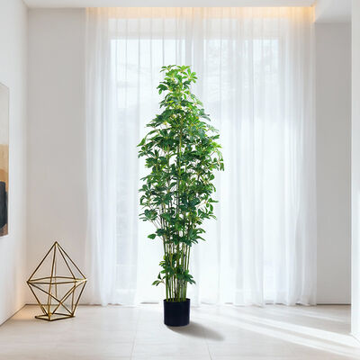 Artificial Multi-Stem Schefflera Plant 120cm 150cm 180cm | Faux Arboricola for Indoor Office & Home Decor