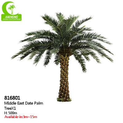 Supplier Height 500cm Artificial Date Palm Tree High Quality Outdoor Tropical Tree