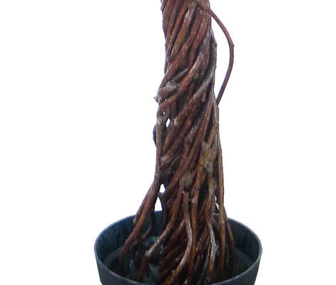 No Nursing Height 160cm Artificial Topiary Tree For Restaurant