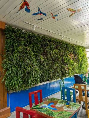 Decorative Anti UV Vertical Greening , Artificial Plant Wall HAIHONG