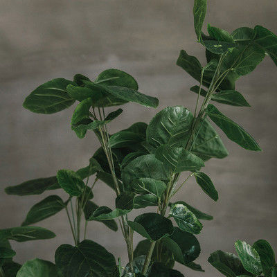 Bonsai Nordic Artificial Money Ficus Tree Home Living Room Floor Decor